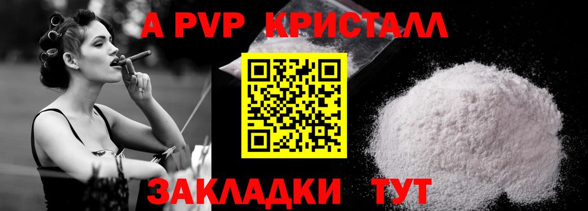 Alfa_PVP СК КРИС Великий Новгород