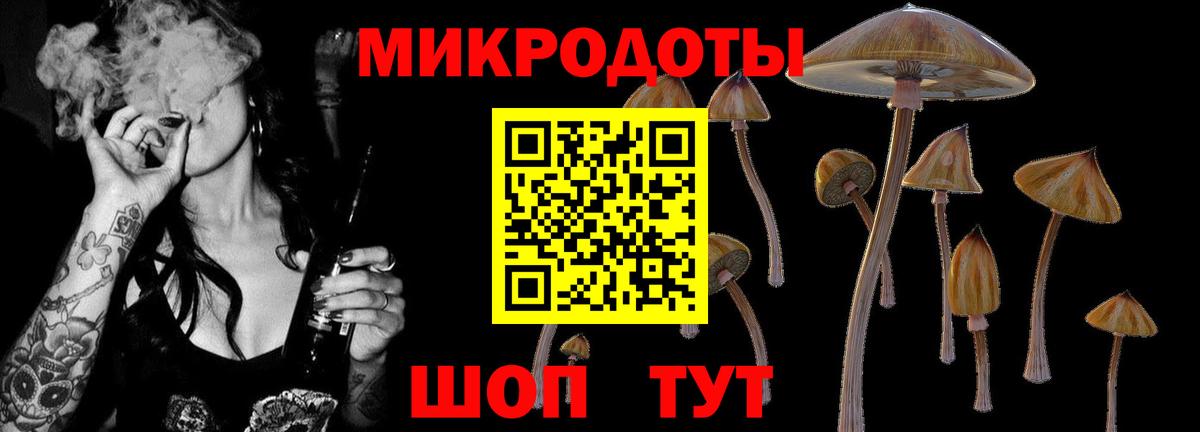 Великий Новгород  Псилоцибиновые грибы Psilocybe  Вход с VPN 